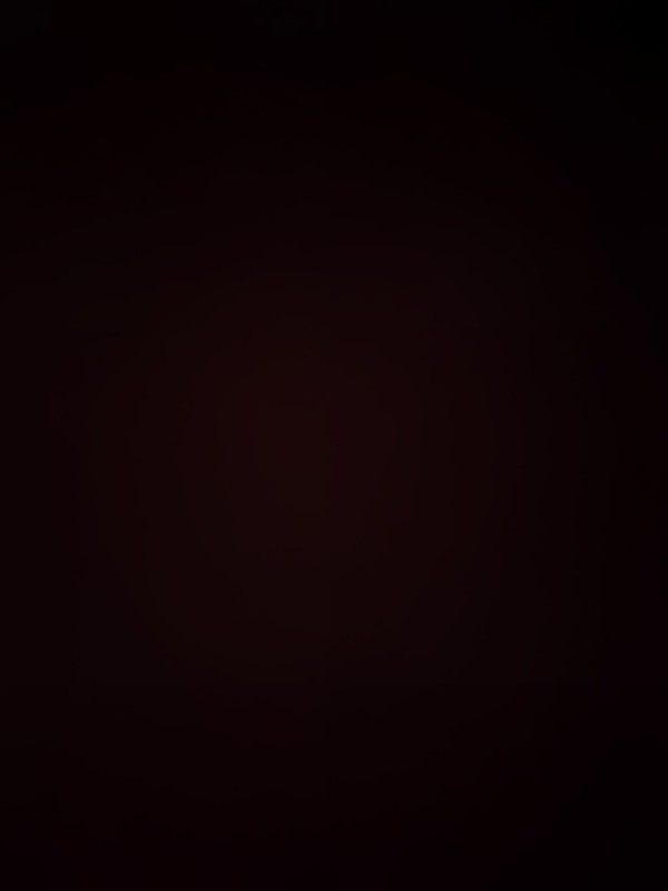 София фото 2